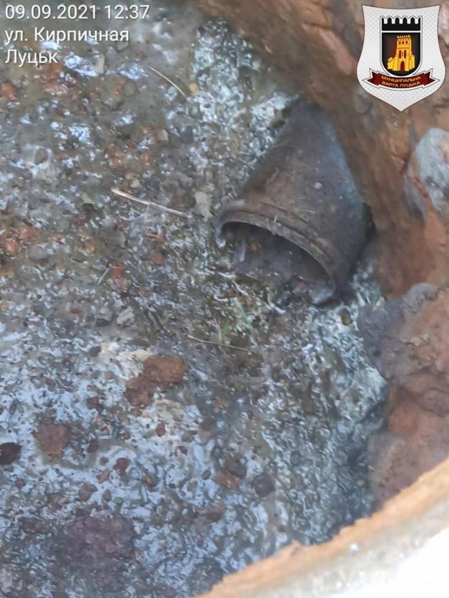 Мешканці приватних будинків у Луцьку зливали нечистоти просто на територію заказника 