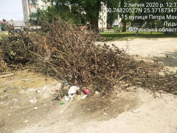 У Луцьку муніципали виявили працівників школи, які закидали територію сухим гіллям