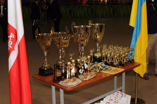 Луцькі боксери здобули перемогу над поляками. ФОТО