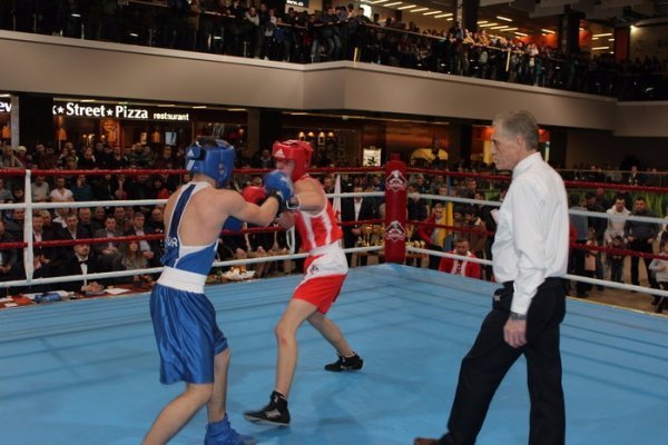 Луцькі боксери здобули перемогу над поляками. ФОТО