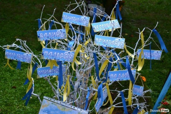 У Луцьку  - квіткова виставка до Дня Незалежності. ФОТО