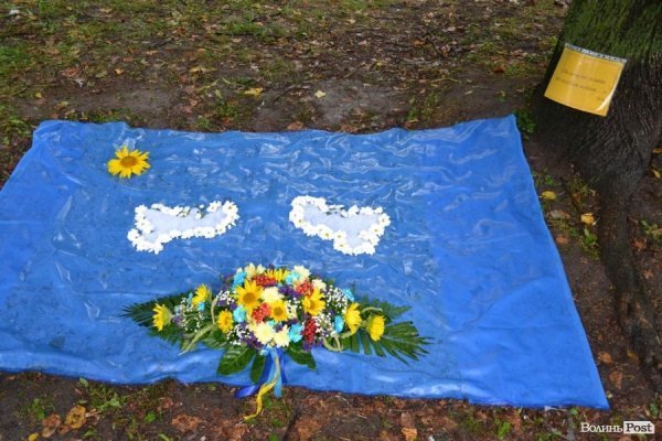 У Луцьку  - квіткова виставка до Дня Незалежності. ФОТО