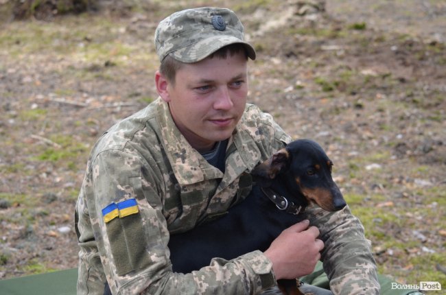 Війна у лісах Волині: підготовка загонів тероборони