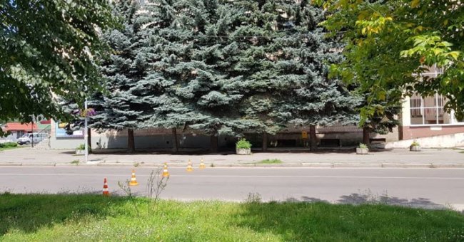 У Ковелі маршрутка збила велосипедиста. ФОТО