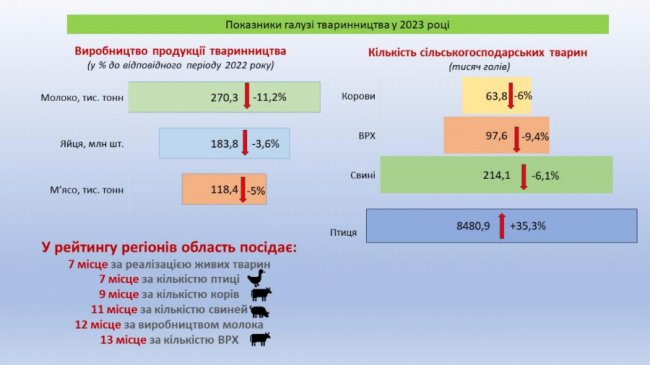 Волиняни відмовляються тримати корів та свиней: на скільки зменшилося поголів'я тварин минулоріч Волиняни відмовляються тримати корів та свиней: на скільки зменшилося поголів'я тварин минулоріч