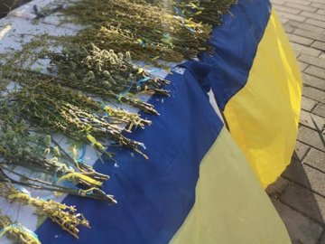 Продавали вербу: у Луцьку волонтери зібрали понад 55 тисяч на потреби ЗСУ 