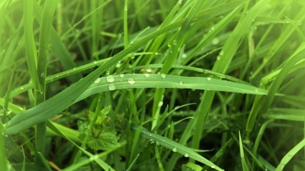 Фотовиставка Тетяни Полуектової