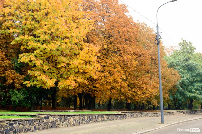 Місто, оповите легким серпанком туману: осінній Луцьк у фото 