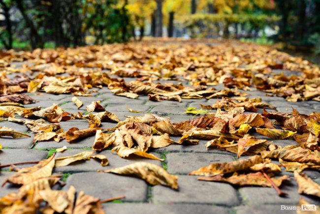 Місто, оповите легким серпанком туману: осінній Луцьк у фото 