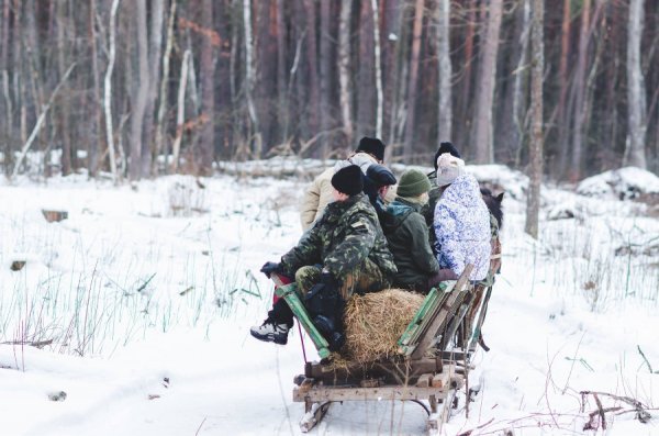 Як у казці: неймовірні фото «Цуманської пущі»