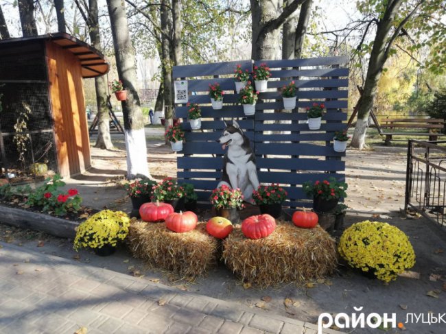 Як у луцькому звіринці відзначали Свято гарбуза. ФОТО