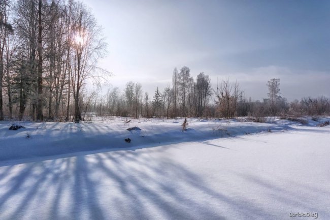 Останній день січня у луцькому парку. ФОТО