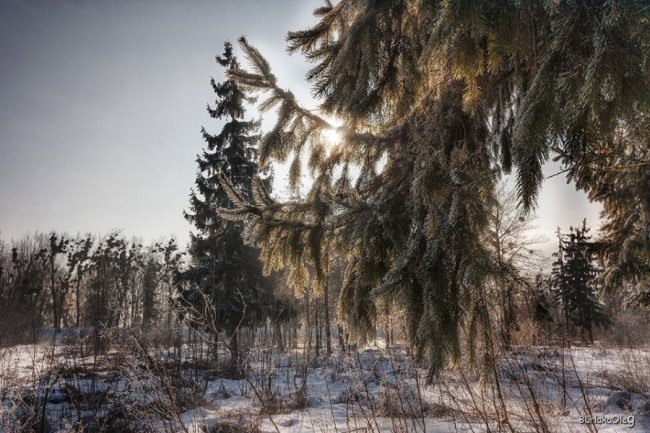 Останній день січня у луцькому парку. ФОТО