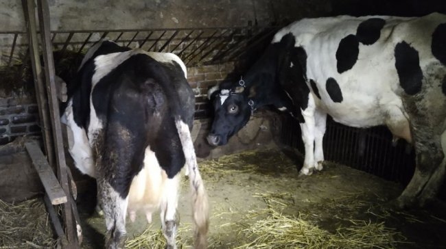 Фінансова підтримка фермерів під час війни: на Волині за рік освоїли 90 мільйонів. ФОТО. ВІДЕО