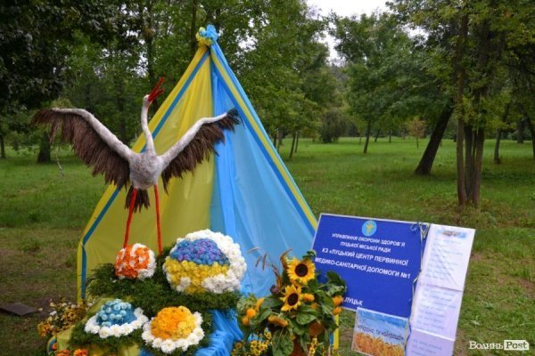 У Луцьку  - квіткова виставка до Дня Незалежності. ФОТО