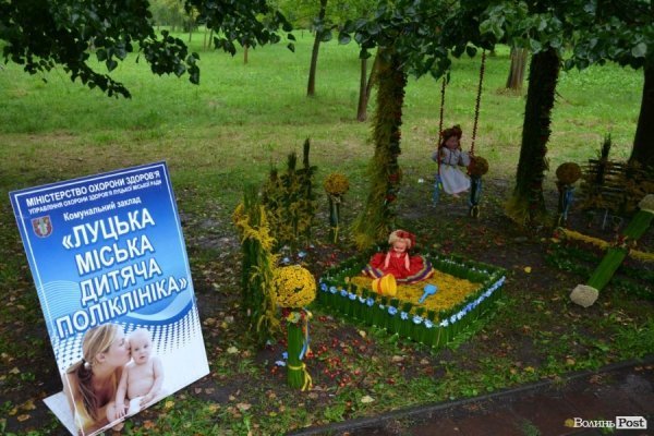 У Луцьку  - квіткова виставка до Дня Незалежності. ФОТО