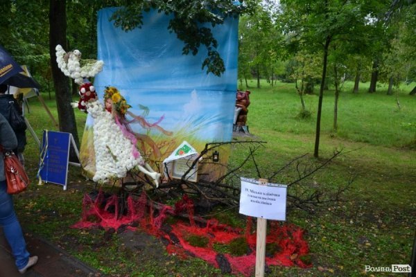 У Луцьку  - квіткова виставка до Дня Незалежності. ФОТО