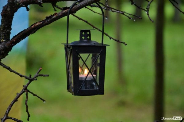 У Луцьку  - квіткова виставка до Дня Незалежності. ФОТО