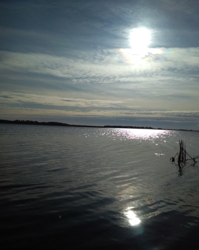На Волині браконьєри втекли, залишивши рибу в сітках. ФОТО