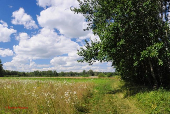 «Планета Замлиння»: краса волинської природи на фото