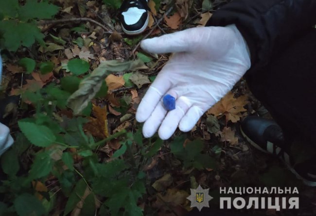 На Волині взяли під варту закладчика, в машині якого знайшли зброю та наркотики. ФОТО