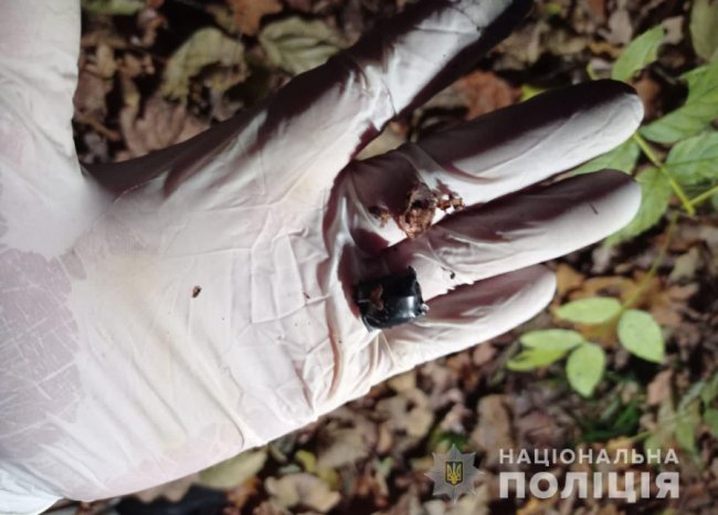 На Волині взяли під варту закладчика, в машині якого знайшли зброю та наркотики. ФОТО