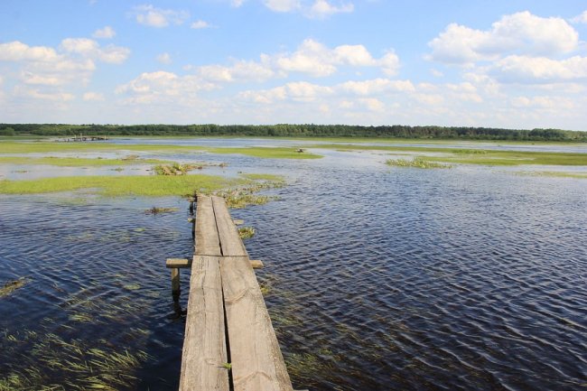 Волинський фотограф показав красу «високої води» річки Стохід. ФОТО