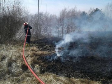 Пожежі на Волині: горіли суха трава, очерет та сміття