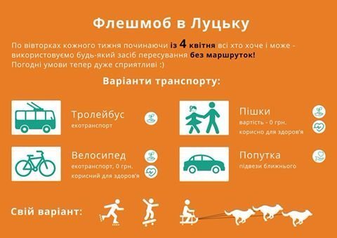 Дешево й сердито: лучанин пропонує транспортний флешмоб