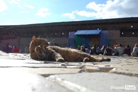 У Луцьку співають джаз до ночі