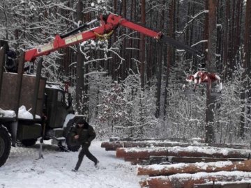 На Волині спіймали «чорних лісорубів» 