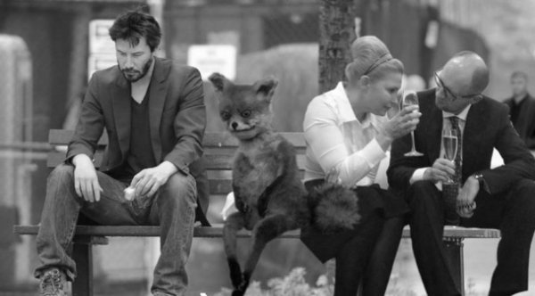 Соцмережі вибухнули фотожабами про вибори