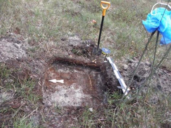 Волинські бурштинокопачі руйнують історичні поховання. ФОТО