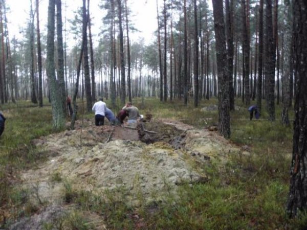Волинські бурштинокопачі руйнують історичні поховання. ФОТО