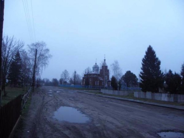 Волинські бурштинокопачі руйнують історичні поховання. ФОТО