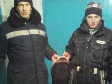 На Волині спіймали гігантського товстолоба. ФОТО