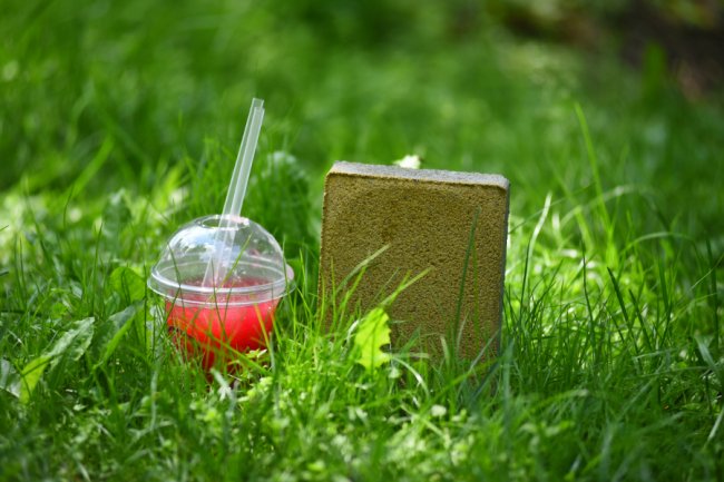 Ранкова кава, обідня регата, вечірні подорожі: шалені пригоди бруківки «Le Bruk» у Луцьку*