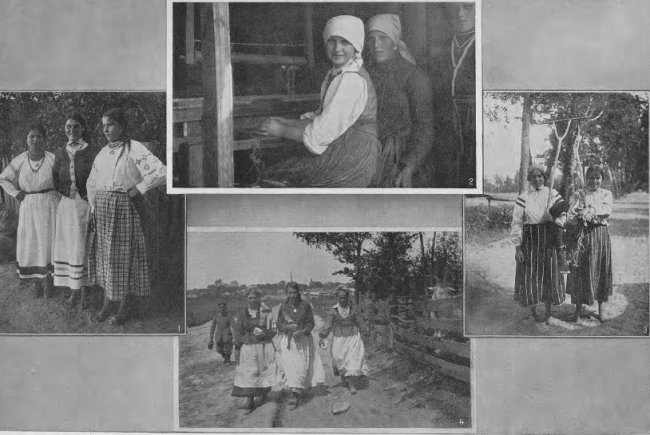 Волинські красуні.