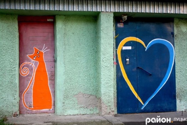 У Луцьку на стінах будинків оселилися кольорові коти. ФОТО