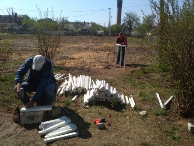 Сливи, персики, груші: мешканці волинського селища відновили фруктовий сад. ФОТО