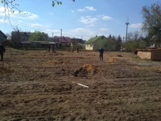 Сливи, персики, груші: мешканці волинського селища відновили фруктовий сад. ФОТО