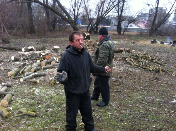 Невідомі чоловіки ріжуть у Ковелі дерева і нападають на журналістів. ФОТО