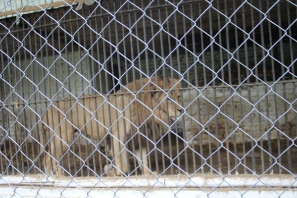 Луцький зоопарк відкрив новий сезон. ФОТО