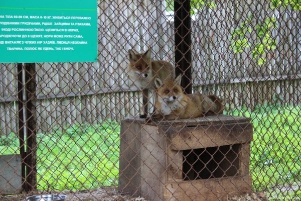 Луцький зоопарк відкрив новий сезон. ФОТО