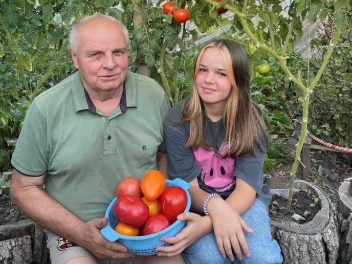 Пенсіонер з Луцька вирощує помідори в пеньочках і підживляє їх салакою. ФОТО