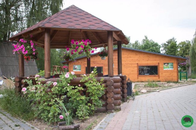 Квіти Луцького зоопарку: 37 дивовижних фото