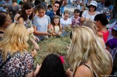 КУДИ ПІТИ У ВИХІДНІ: 14-16 грудня 