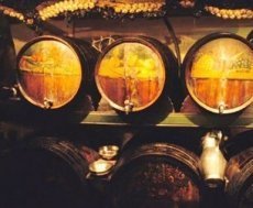 КУДИ ПІТИ У ВИХІДНІ: 14-16 грудня 