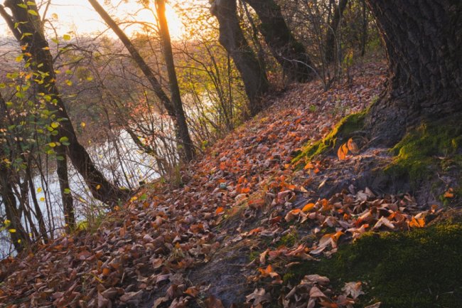 Останні дні жовтня: луцький фотограф поділився дивовижними світлинами. ФОТО