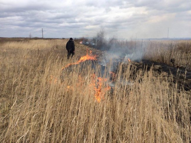 На Волині чоловік підпалив суху траву і не міг пояснити причину вчинку